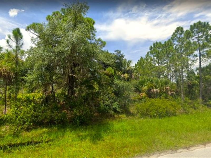 Just 30 Minutes to The Beach : Port Charlotte : Charlotte County : Florida