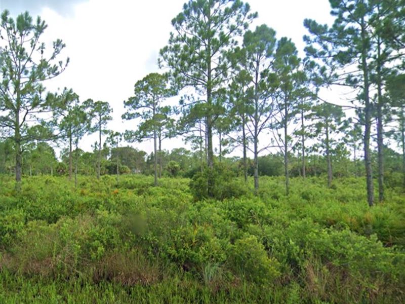 Just 30 Minutes to The Beach : Port Charlotte : Charlotte County : Florida