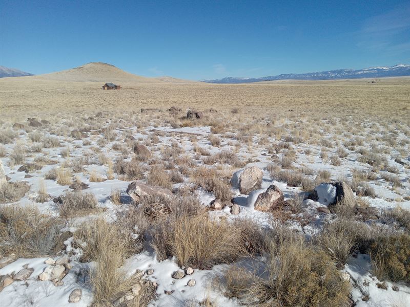 You Bring The Tiny Home : Blanca : Costilla County : Colorado