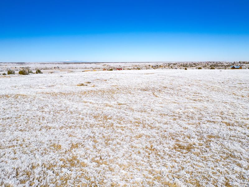 Top Location, Low Price : Colorado City : Pueblo County : Colorado