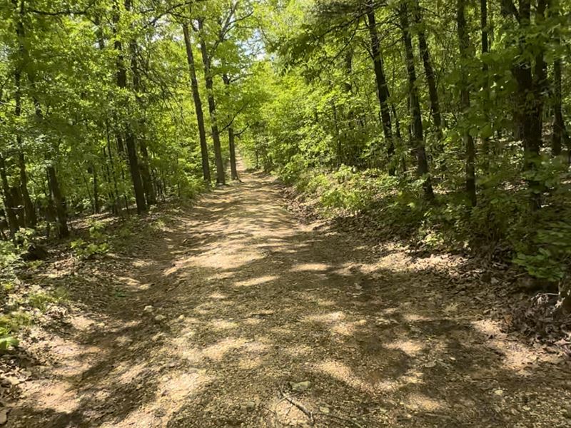 1 Acre in Resort Cherokee Village : Cherokee Village : Sharp County : Arkansas