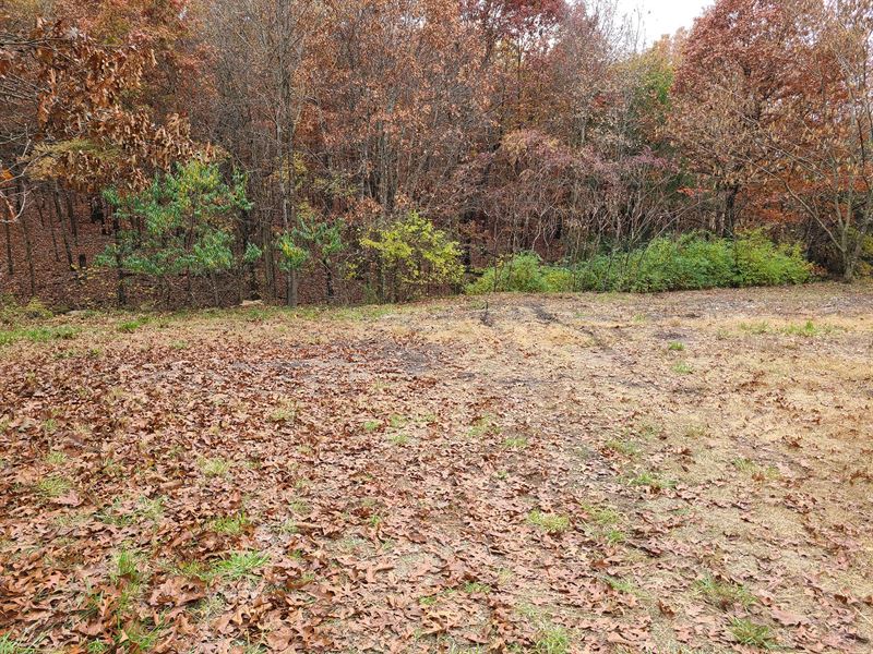 Vacant Land with Well and Lagoon : Koshkonong : Howell County : Missouri