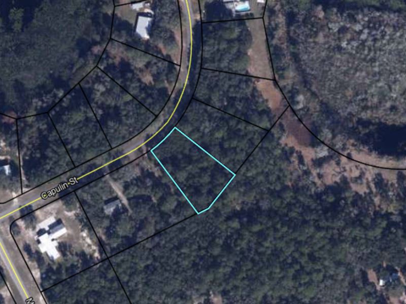.6 Acre in Keystone Heights, FL : Keystone Heights : Clay County : Florida