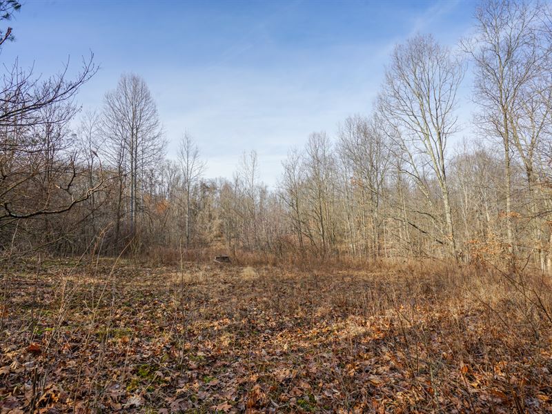 Wilbur Bush Rd Lot 5 : Crooksville : Morgan County : Ohio