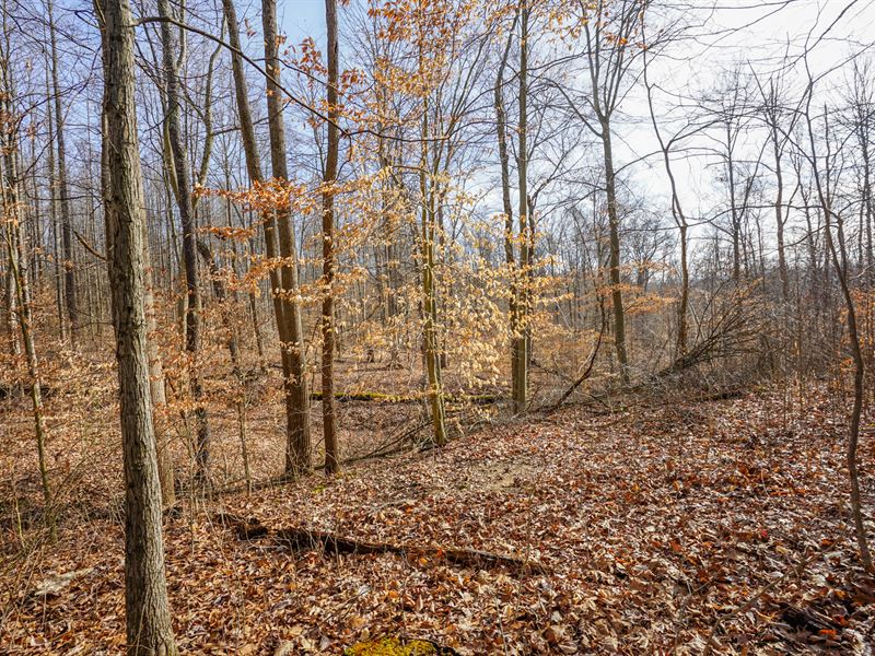 Wilbur Bush Rd Lot 3 : Crooksville : Morgan County : Ohio
