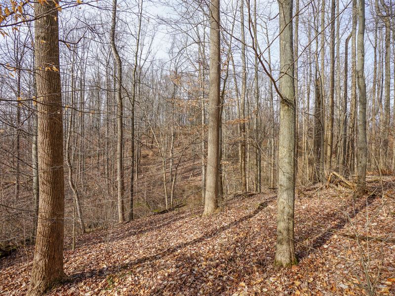 Wilbur Bush Rd Lot 2 : Crooksville : Morgan County : Ohio