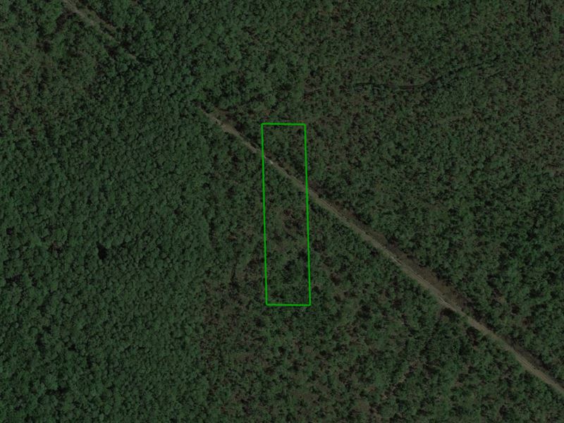 1.25 Acres in Desirable Area : Deland : Volusia County : Florida