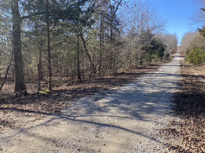 Off-Grid Freedom in Izard County : Horseshoe Bend : Izard County : Arkansas