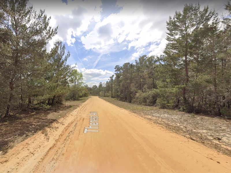 .22 Acre in Putnam County, FL : Interlachen : Putnam County : Florida