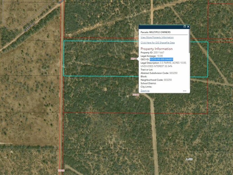 10 Acres for Sale in Pleasanton, TX : Pleasanton : Atascosa County : Texas