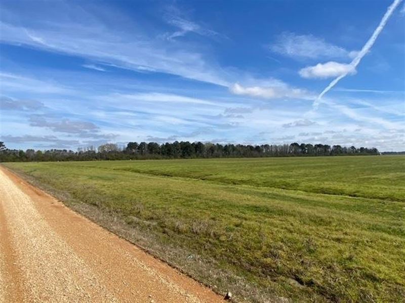 The Crossett 8 : Crossett : Ashley County : Arkansas