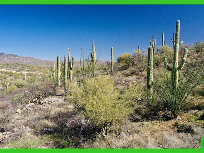 10 Acre Beauty in Vail, AZ : Pima : Pima County : Arizona