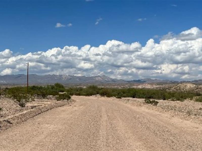 11 Acres with Electricity in Texas : Hudspeth : Hudspeth County : Texas