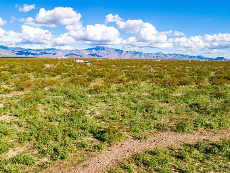 Private Desert Oasis : Golden Valley : Mohave County : Arizona