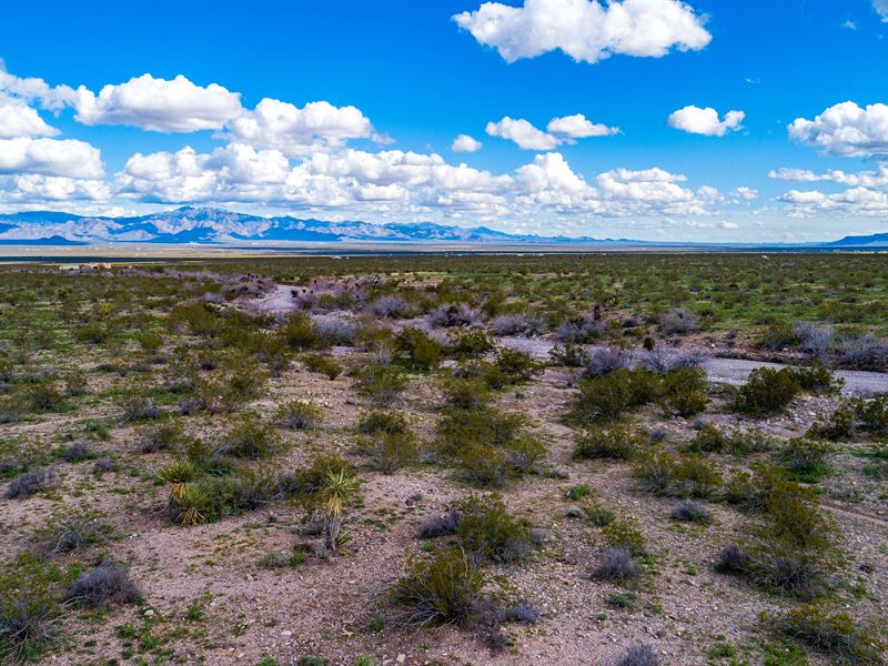 Your Own Private Getaway : Golden Valley : Mohave County : Arizona
