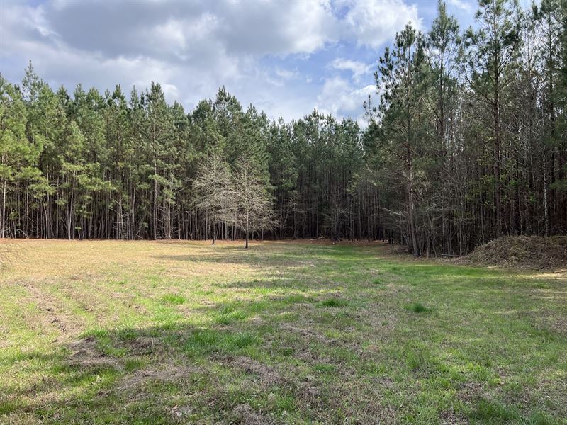 Belton Home and Land : Belton : Anderson County : South Carolina