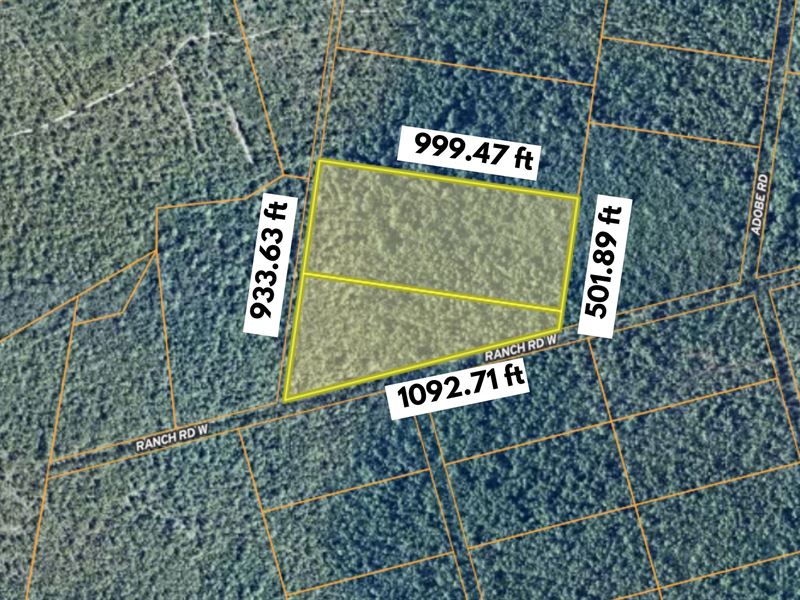 16.41 Acre Lots in Brunswick County : Winnabow : Brunswick County : North Carolina