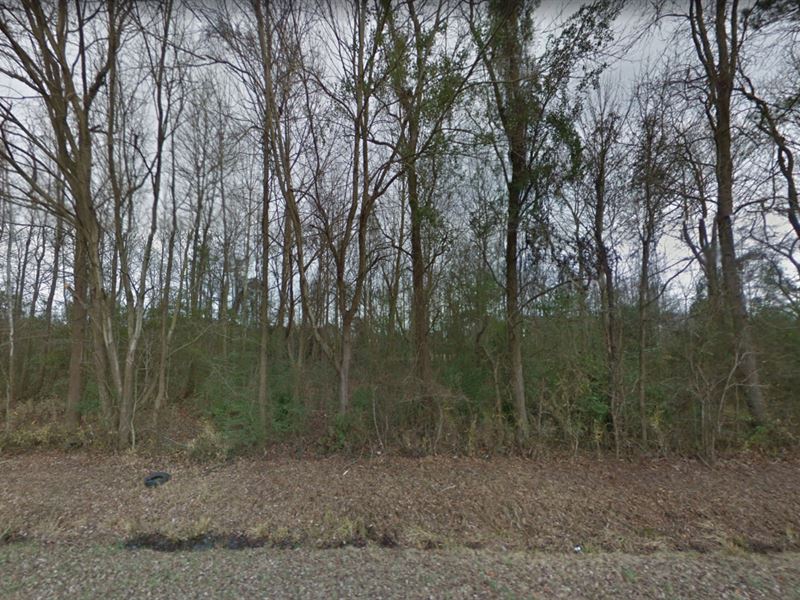 .79 Acre Land Perfectly Nestled : Magnolia : Duplin County : North Carolina