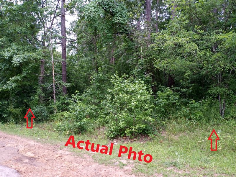 Near Lake O' The Pines : Jefferson : Marion County : Texas