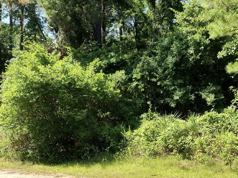 Walking Distance From The Lake : Jefferson : Marion County : Texas