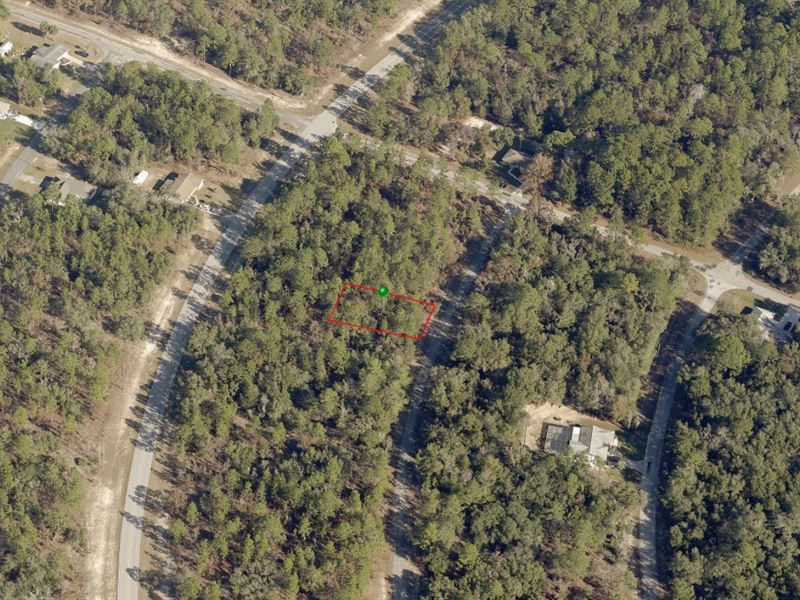 Lot in Beautiful Citrus Springs : Citrus Springs : Citrus County : Florida