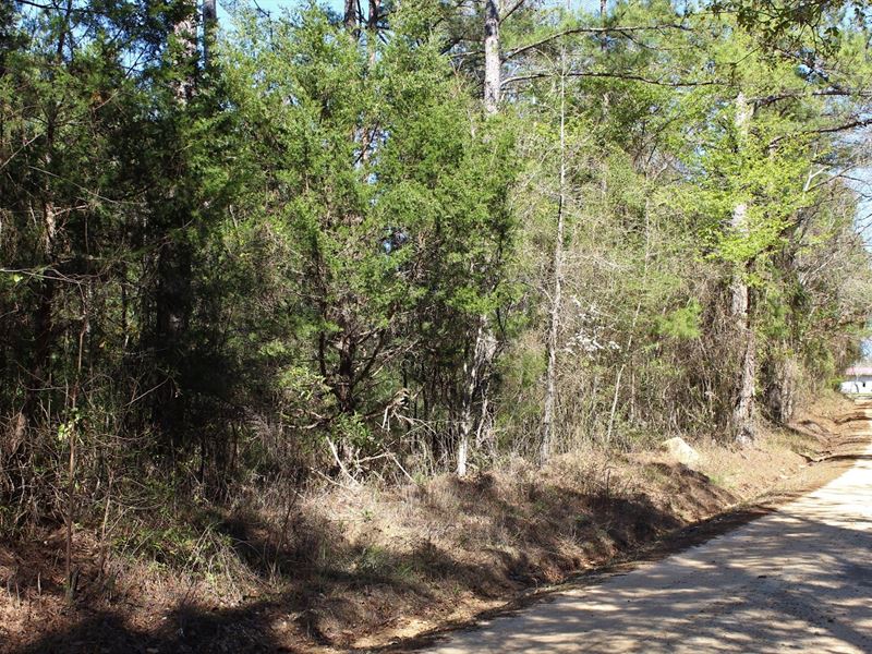 Country Homesite / Mini Farm : Tuskegee : Macon County : Alabama