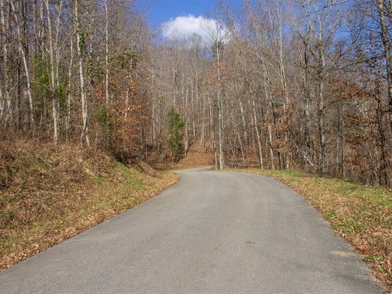 2.06 Acres in Wayne County, KY : Delta : Wayne County : Kentucky