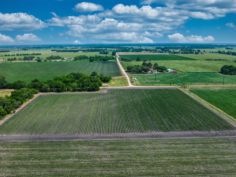 7.5 Acre Farm, Power & Road Front : Wallis : Fort Bend County : Texas