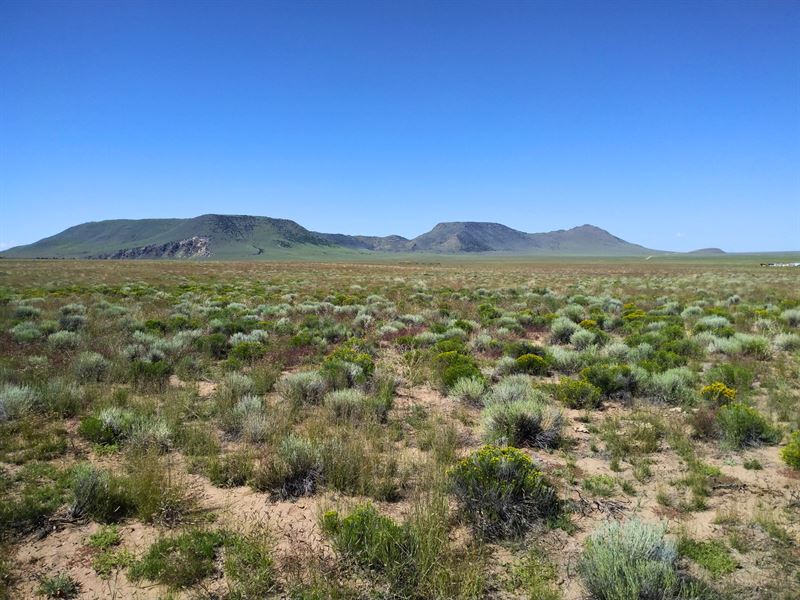 Utopia Near River with Water Rights : Pheonix : Costilla County : Colorado