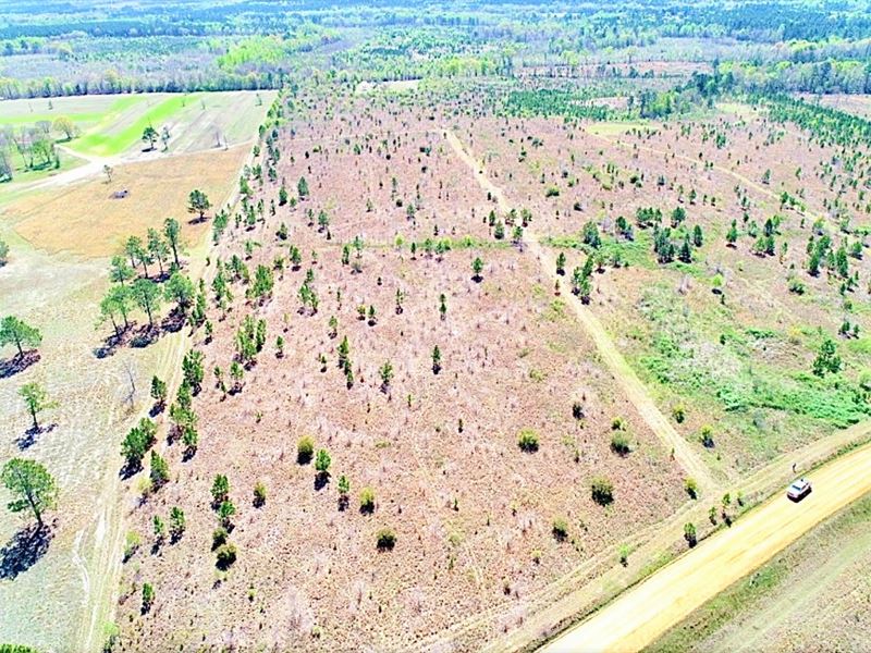 Country Homesite and Mini Farm : Wrightsville : Johnson County : Georgia