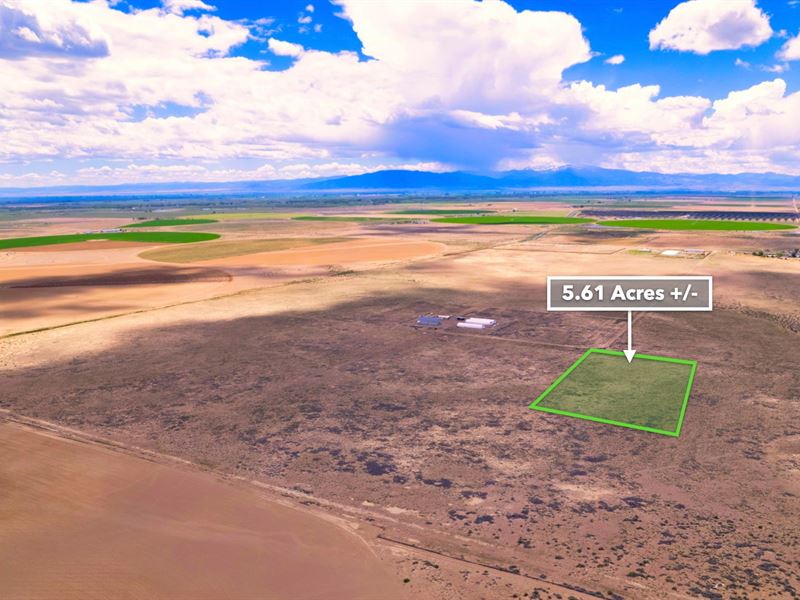 Ranch with Access & Mountain Views : Alamosa : Alamosa County : Colorado