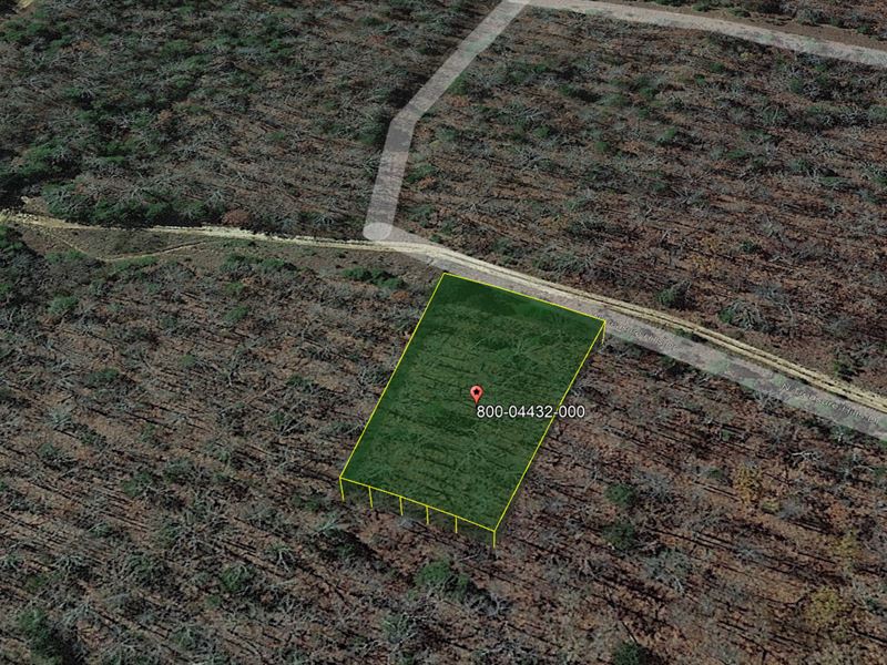 Over 1.1 Acres of Buildable Land : Horseshoe Bend : Izard County : Arkansas