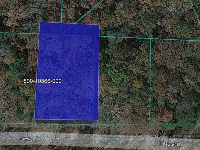 Buy and Hold, Watch The Price Rise : Horseshoe Bend : Izard County : Arkansas