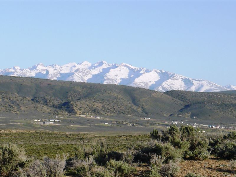 Secluded, Yet Close To The City : Elko : Elko County : Nevada