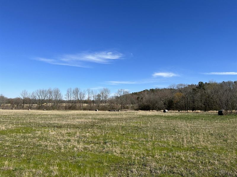Hidden Hills 23 : Sidon : White County : Arkansas