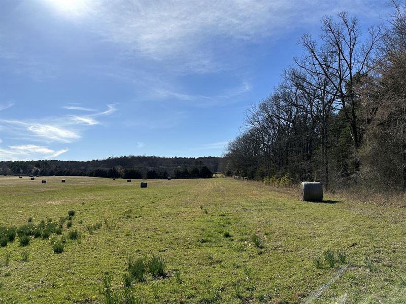 Hidden Hills 25 : Searcy : White County : Arkansas
