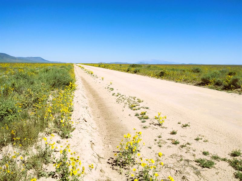 Bask in The Wonders of Nature : San Luis : Costilla County : Colorado