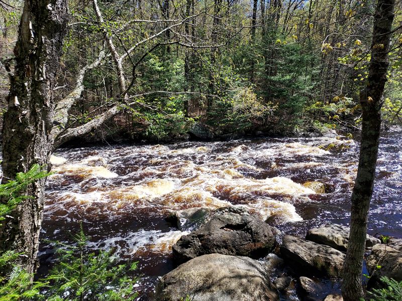 Adjoins State Land & Waterfalls : Florence : Florence County : Wisconsin