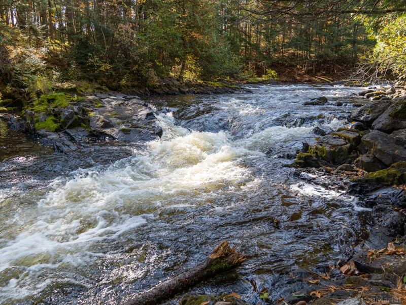 Next to State Land & Jennings Falls : Florence : Florence County : Wisconsin