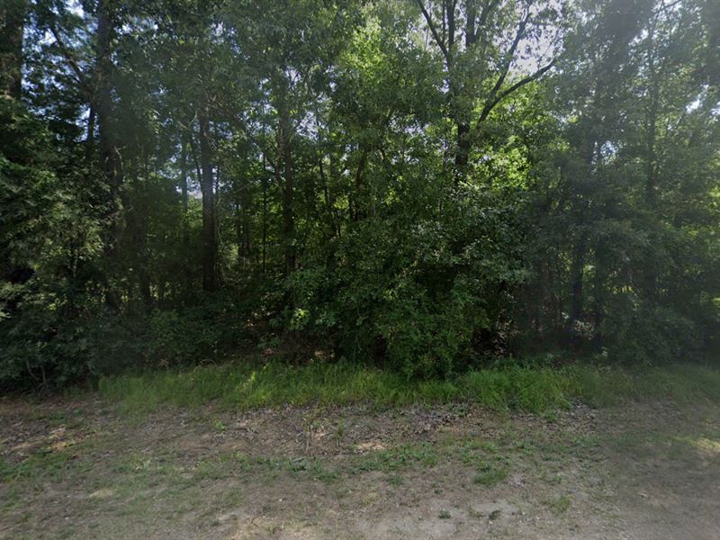 Countryside Escape on 0.16 Acres : Livingston : Polk County : Texas