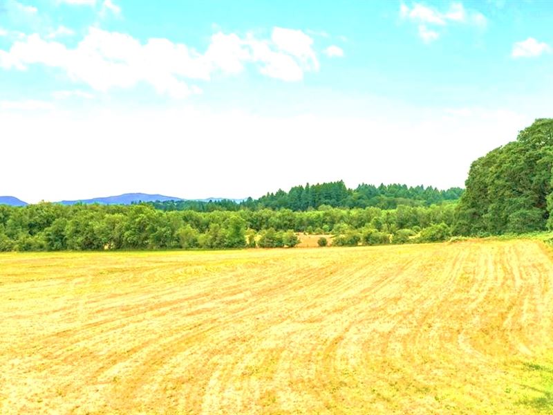 .31 Acre Catch in AR : Bella Vista : Benton County : Arkansas
