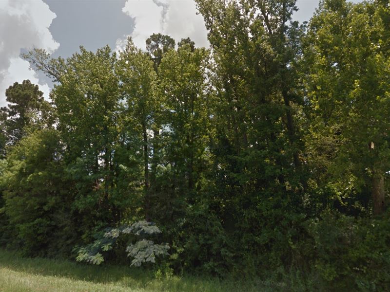 Retire in Peace on 0.29 Acre in TX : Livingston : Polk County : Texas