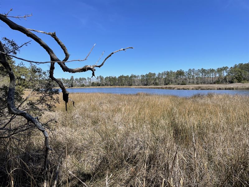 Waterfront Homesite in Beaufort, NC : Beaufort : Carteret County : North Carolina