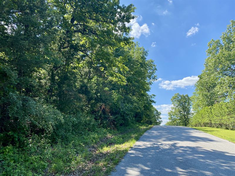 Near Crown Lake and Golf Course : Horseshoe Bend : Izard County : Arkansas