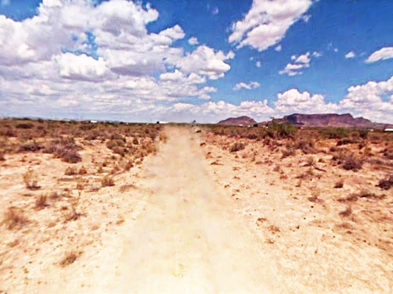 Half Acre Lot for Only $49 Down/Mo : Deming : Luna County : New Mexico