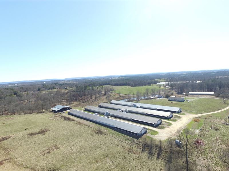 Bowman Poultry : Sylvania : Dekalb County : Alabama