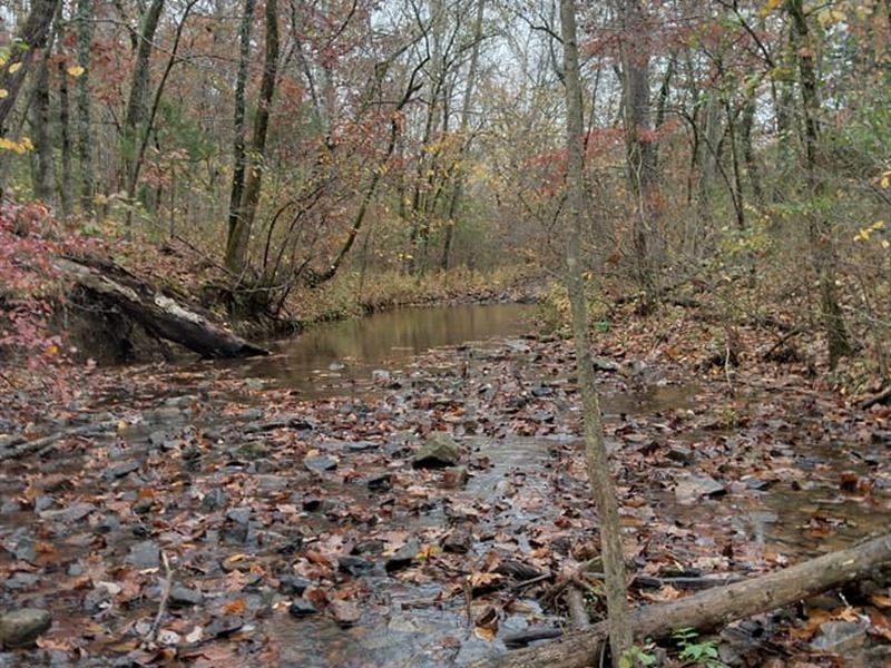 Lot Near Spring Lake, Ozark Acres : Ozark : Sharp County : Arkansas