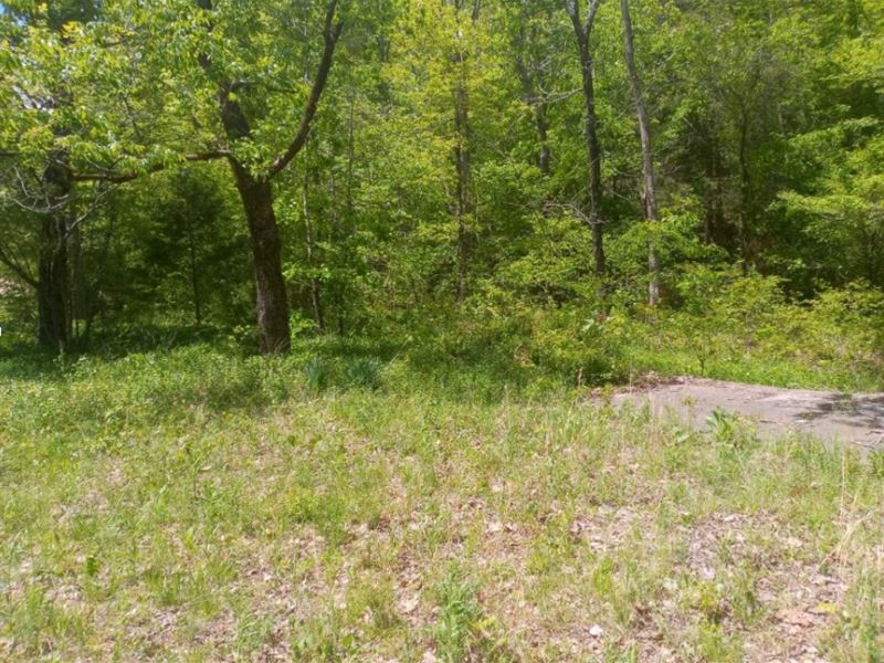 Half Acre by Vagabond Lake : Ozark Acres : Sharp County : Arkansas