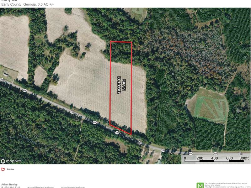 Perfect Rural Homesite : Damascus : Early County : Georgia
