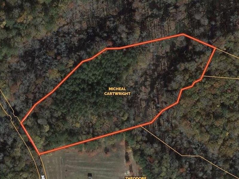 7.67 Acres of Rec : Suffolk : Suffolk County : Virginia